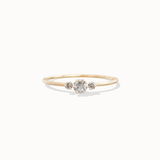 Stella Diamond Ring - 0.14ct Salt & Pepper Diamonds